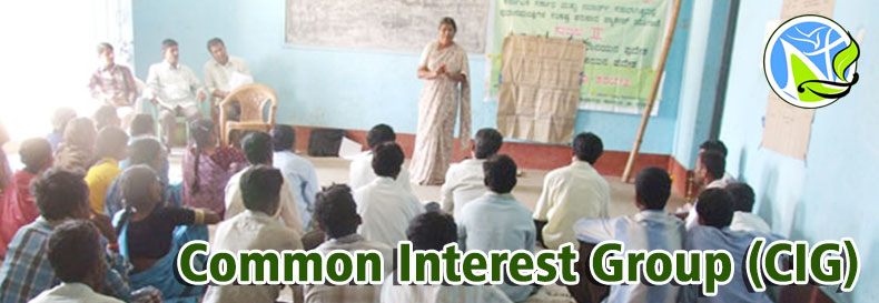 Common Interest Group (CIG)