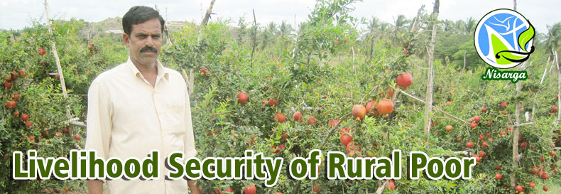 Livelihood Security of Rural Poor 