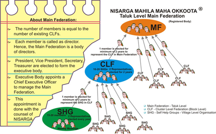 Structure and Organisation