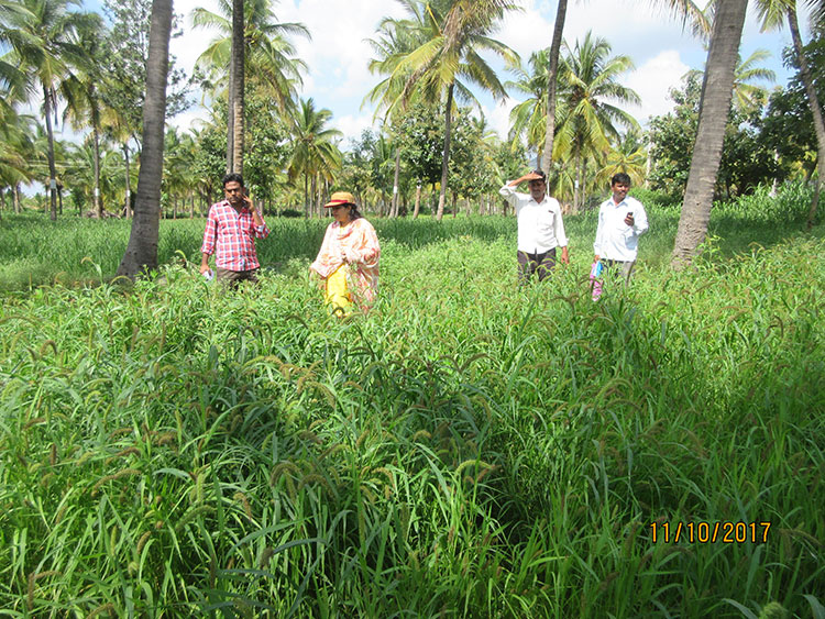 Monitoring Visit from NABARD