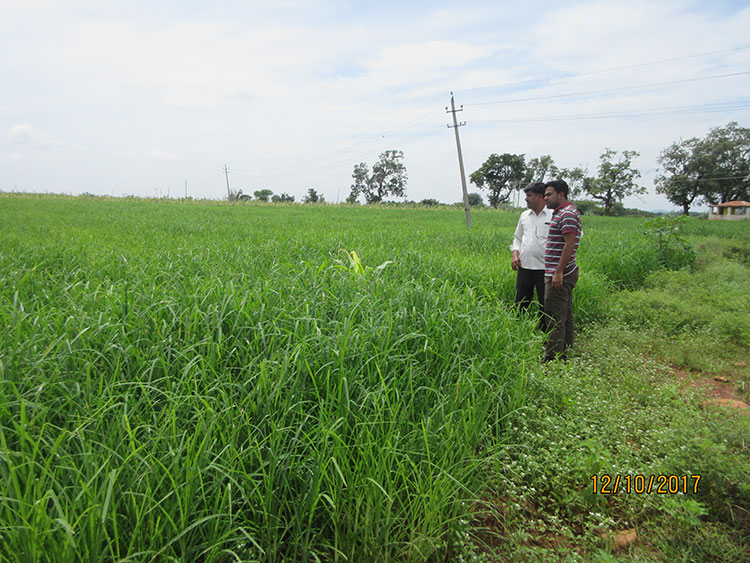 Monitoring Visit from NABARD