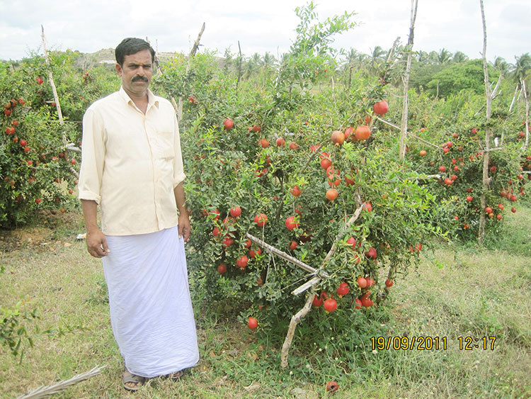 Livelihood Security of Rural Poor 