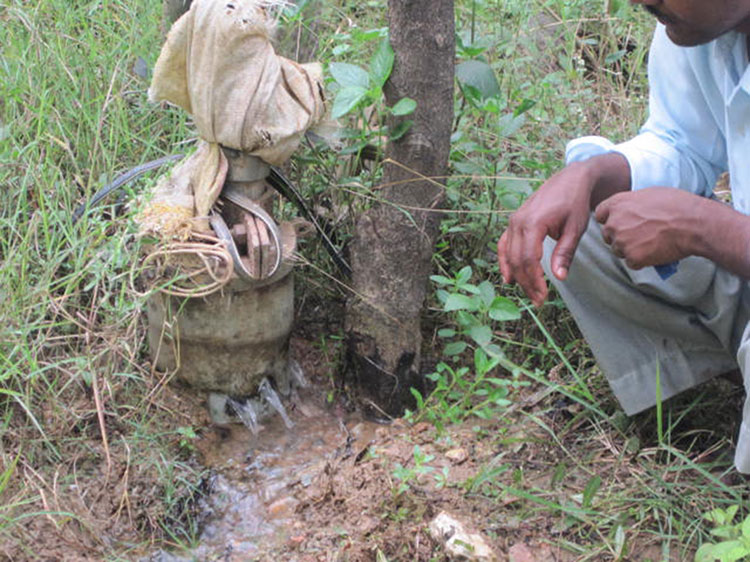 NABARD Watershed WDF