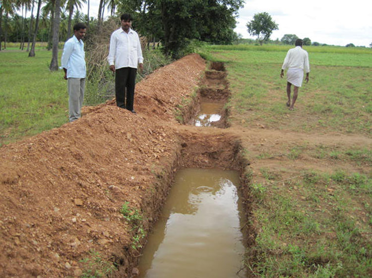 NABARD Watershed WDF