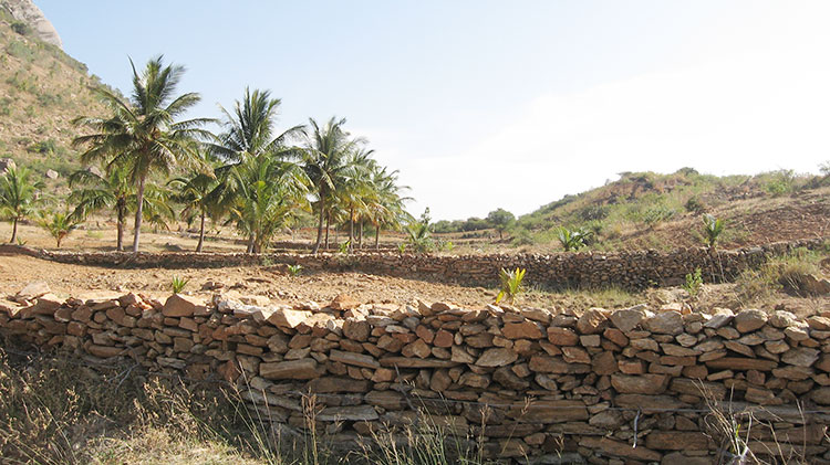 NABARD Watershed WDF