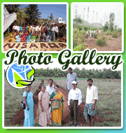 Photo Gallery